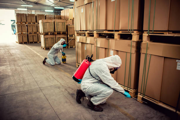 Best Mosquito Control Services  in Solana, FL