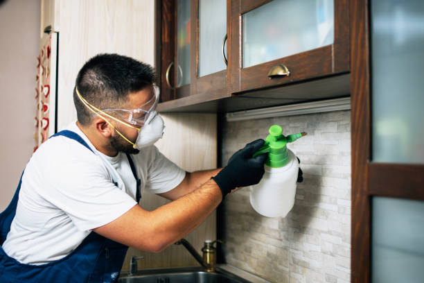 Best Spider Control Near Me  in Solana, FL