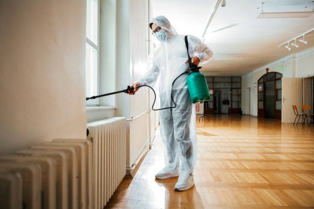 Best Pest Control Near Me in Solana, FL